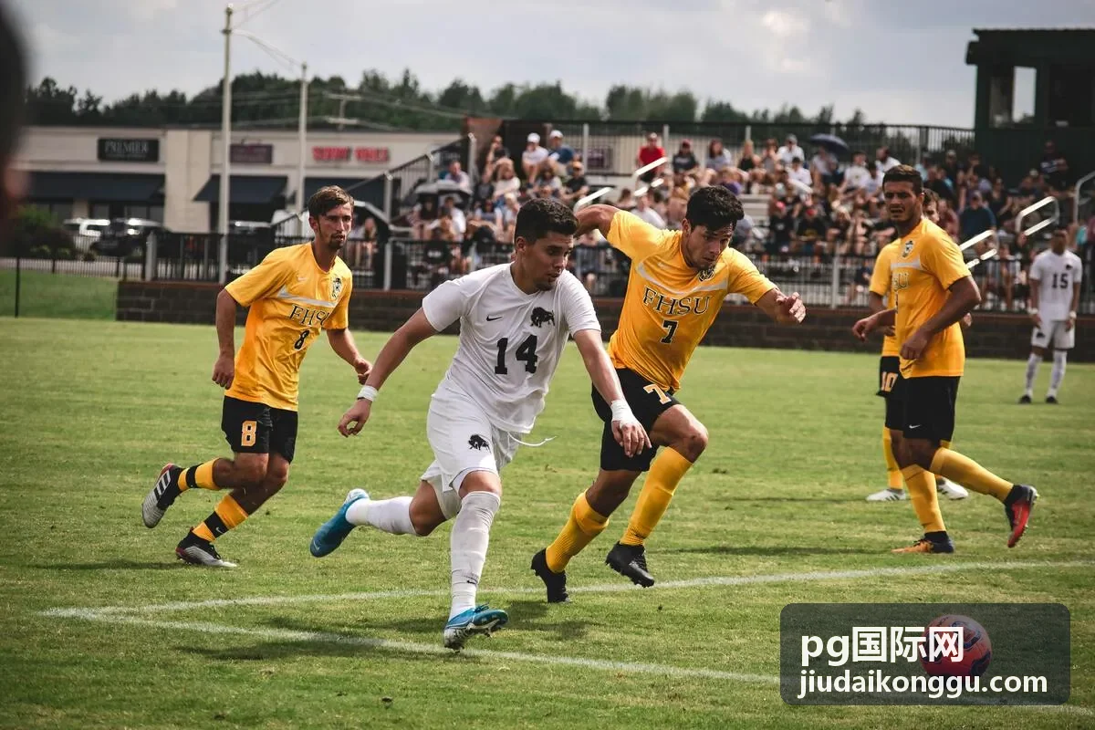 pg国际网改动前后数据与条款对照页面示意，左右并排展示